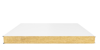 Стеновая сэндвич-панель (минеральная вата) 100 мм х 1190 мм (Гладкая)